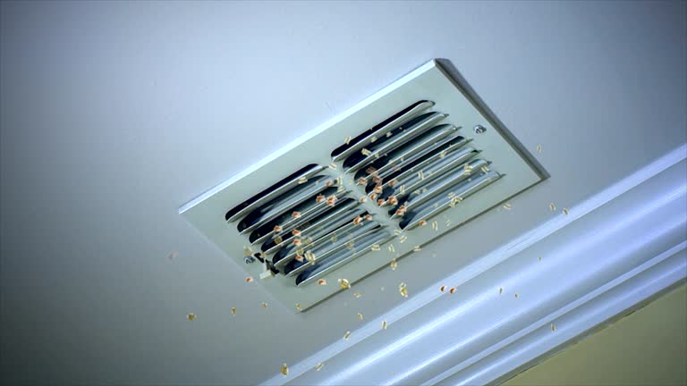Best Commercial Air Duct Cleaning  in Maryville, TN
