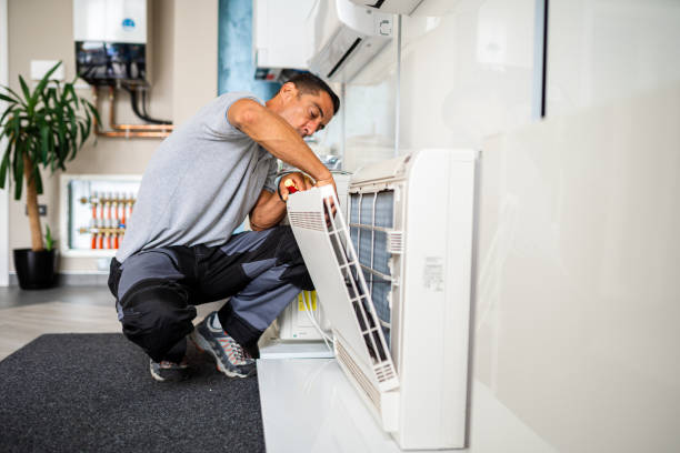 Best Air Duct Mold Removal  in Maryville, TN