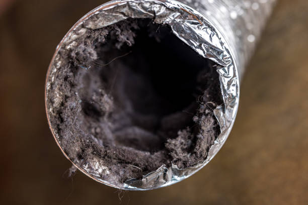 Best Local Air Duct Cleaning Services  in Maryville, TN